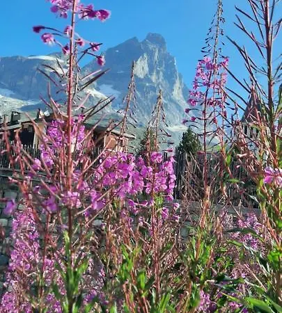 Maison Meynet Mountain Charm Breuil-Cervinia Exterior photo